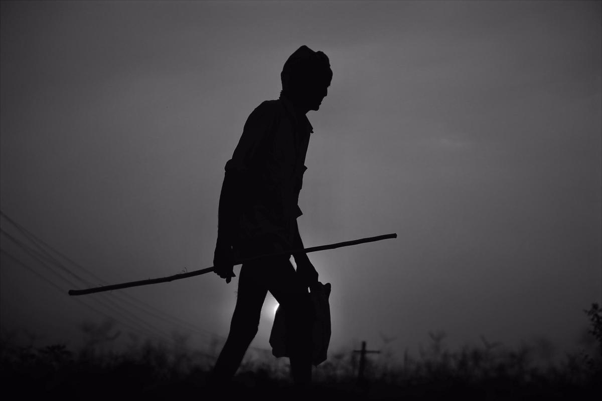 Image of Grass, Black-and-white, Style, Grey, Outdoor recreation, Golf club etc.