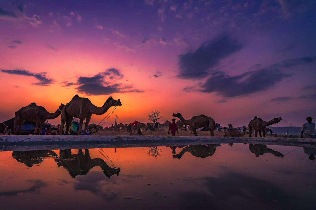 Reflection Photography by Umesh Gogna Reflection Photography With Sony SEL1635GM Lens