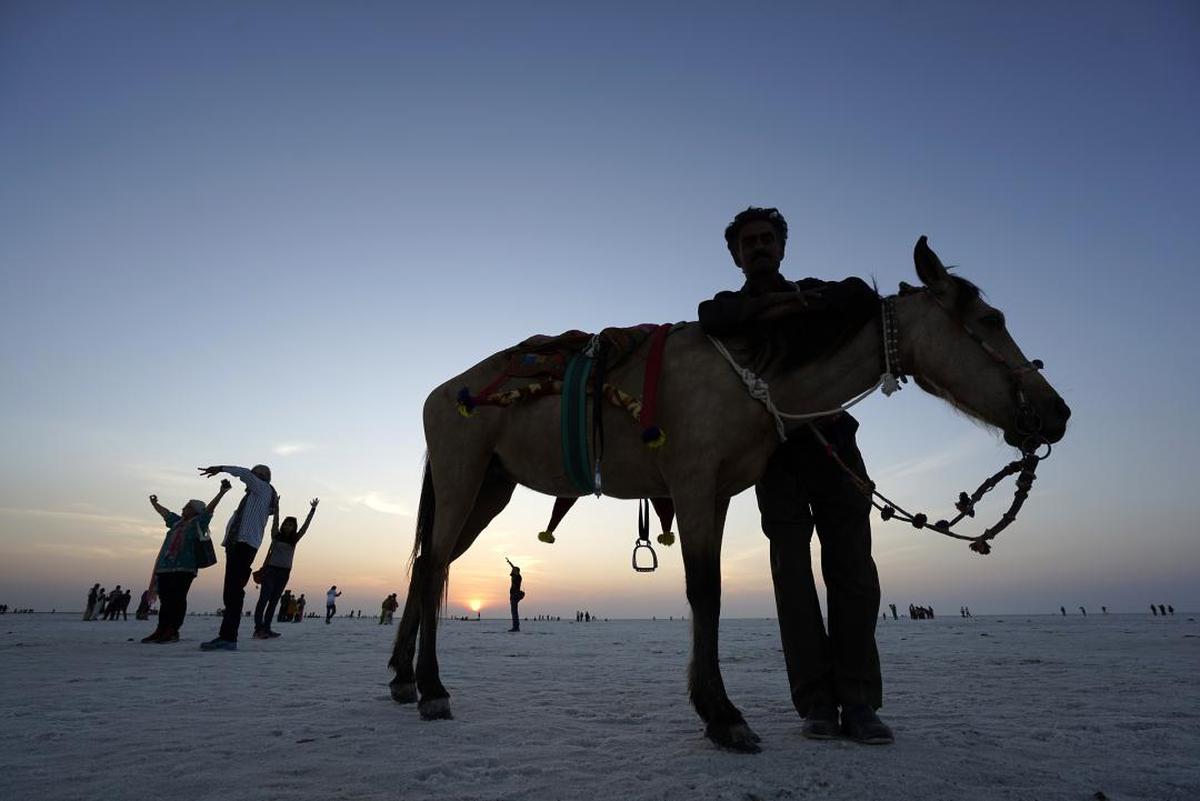 Image of Horse, Sky etc.