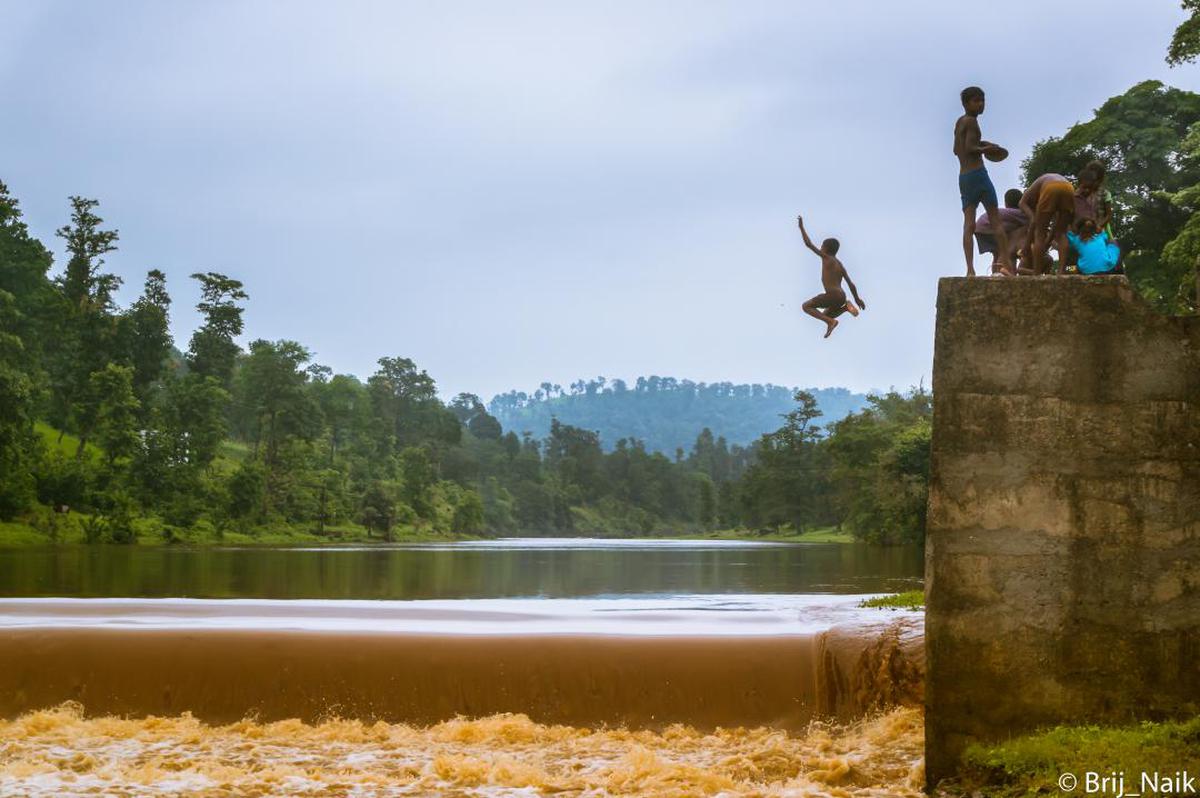 Image of Water, Jumping, Water resources, Tree, Sky etc.