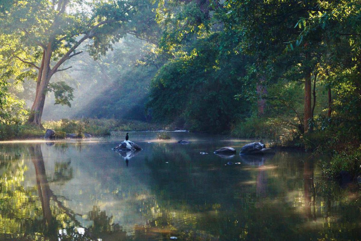 Image of Natural landscape, Nature, Nature reserve, Atmospheric phenomenon, Bayou, Natural environment etc.