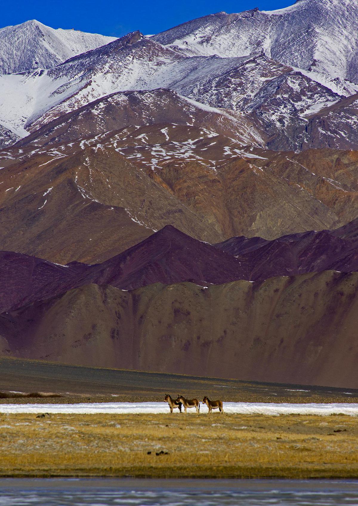 Image of Mountainous landforms, Mountain, Mountain range, Highland, Wilderness, Ecoregion etc.
