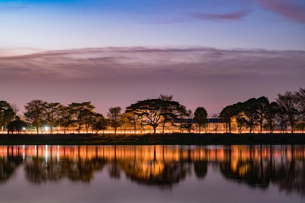 Image of Sky, Reflection, Nature, Water, Tree, Afterglow etc.