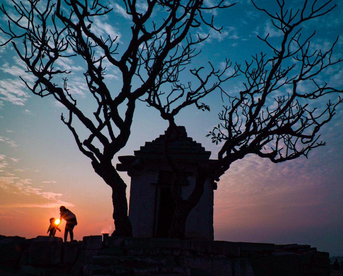 Image of Sky, Tree, Branch, Landmark, Dusk etc.