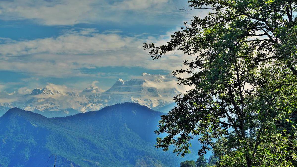 Image of Sky, Nature, Natural landscape, Mountainous landforms, Mountain, Tree etc.
