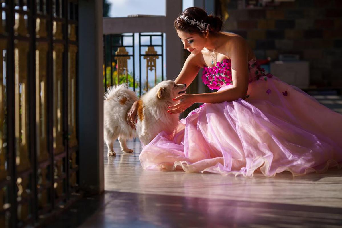 Image of Dress, Ballet tutu, Gown, Pink etc.