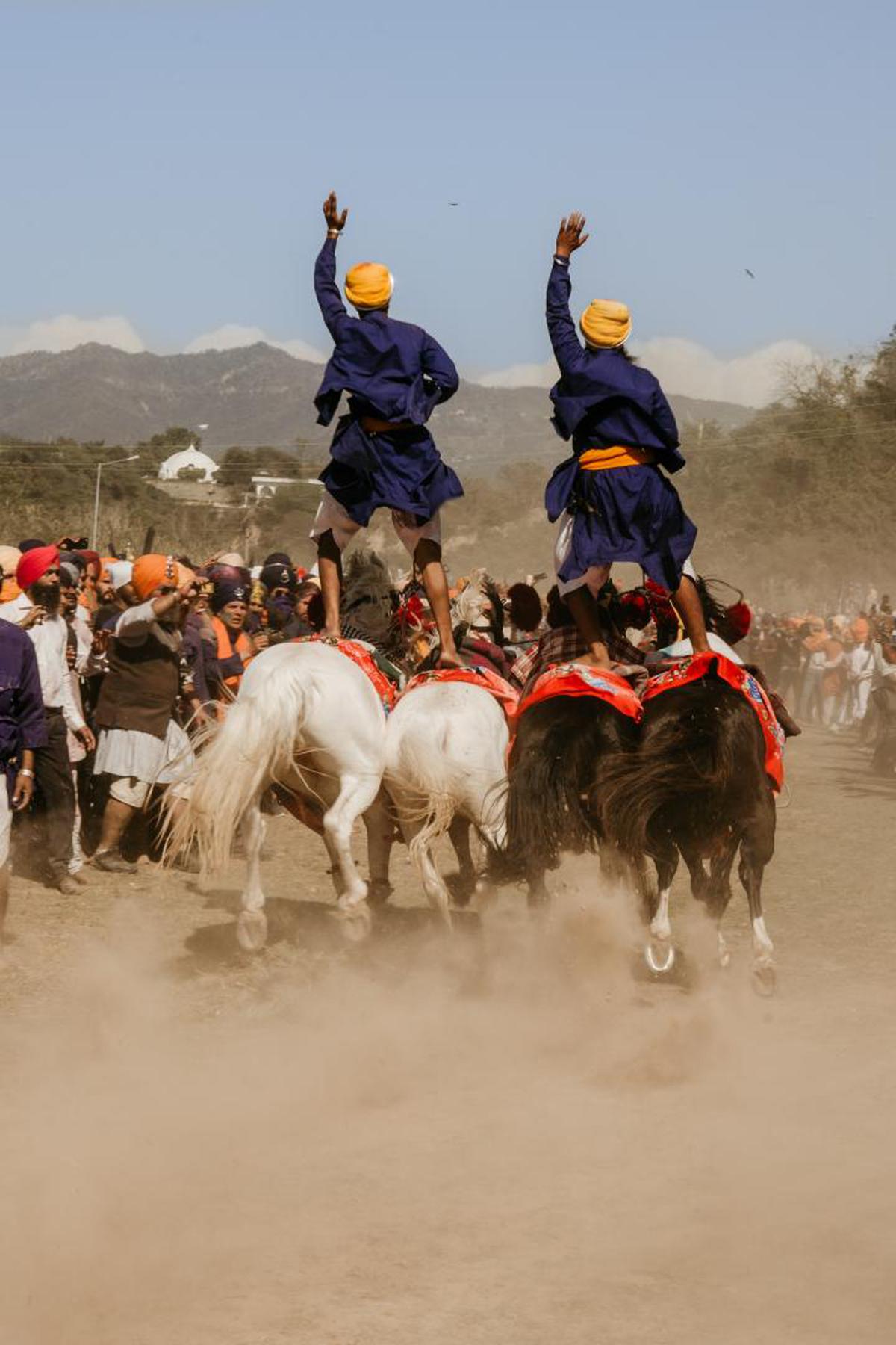 Image of Mammal, Horse etc.