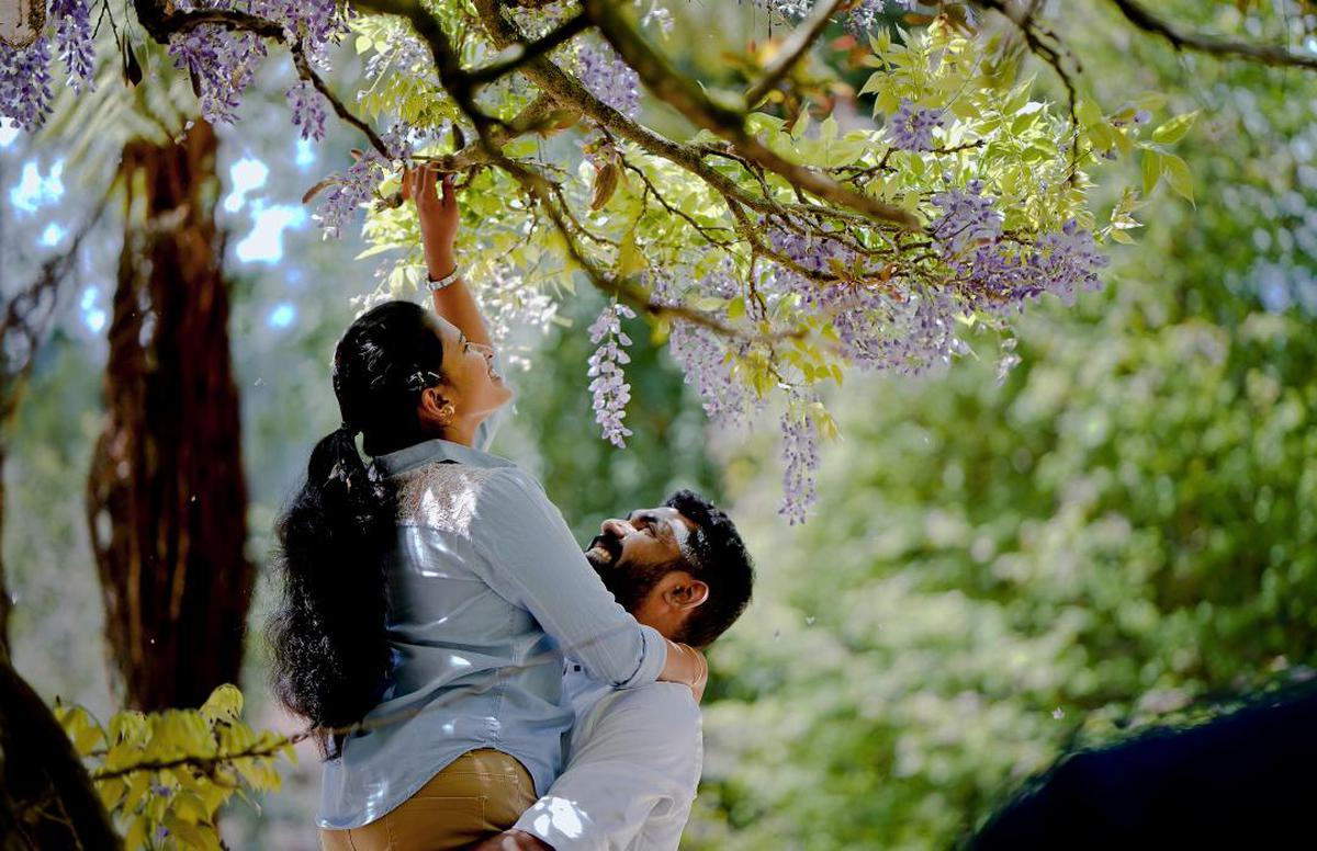 Image of People in nature, Photograph, Tree, Branch, Spring, Yellow etc.