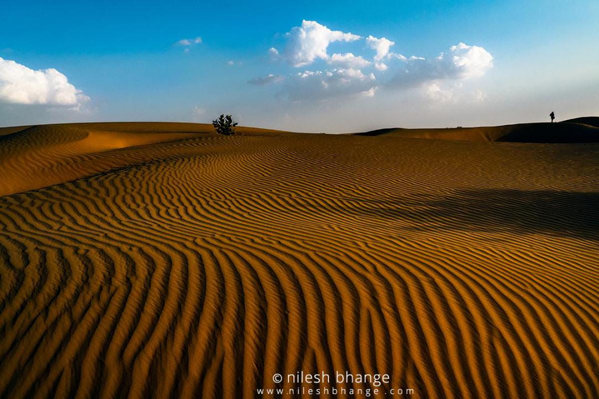 Image of Desert, Sand, Erg, Natural environment, Aeolian landform, Nature etc.