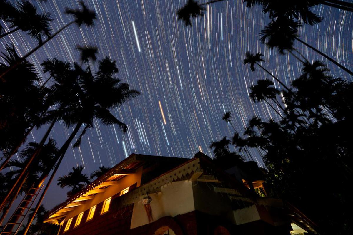 Image of Sky, Night, Light, Tree, Atmosphere etc.