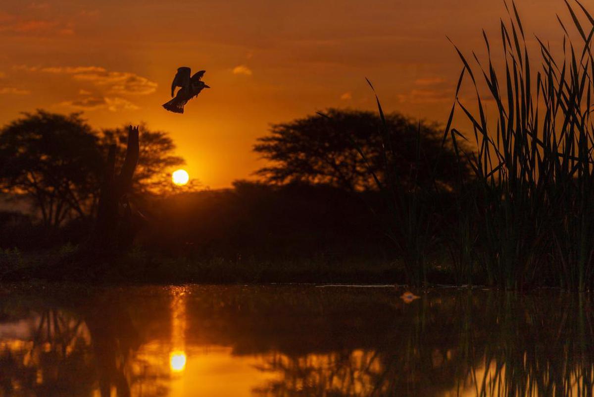 Image of Sky, Nature, Sunset, Sun, Sunrise, Reflection etc.