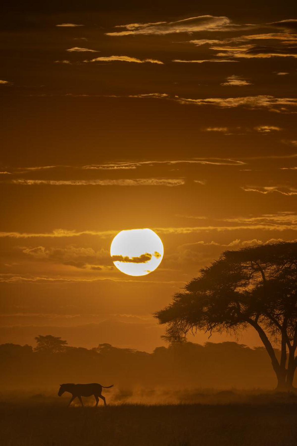 Image of Sky, Sunrise, Sunset, Cloud, Horizon, Atmospheric phenomenon etc.