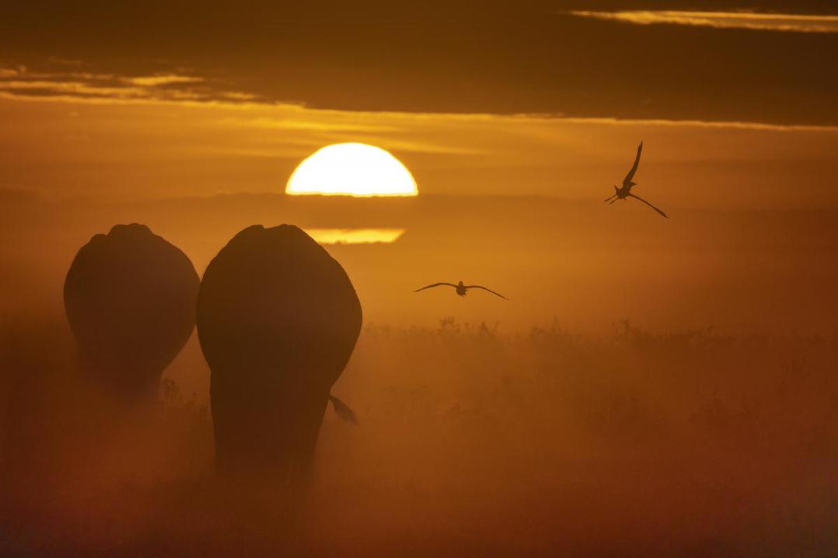 Image of Sky, Sunrise, Atmospheric phenomenon, Sunset, Morning, Sun etc.