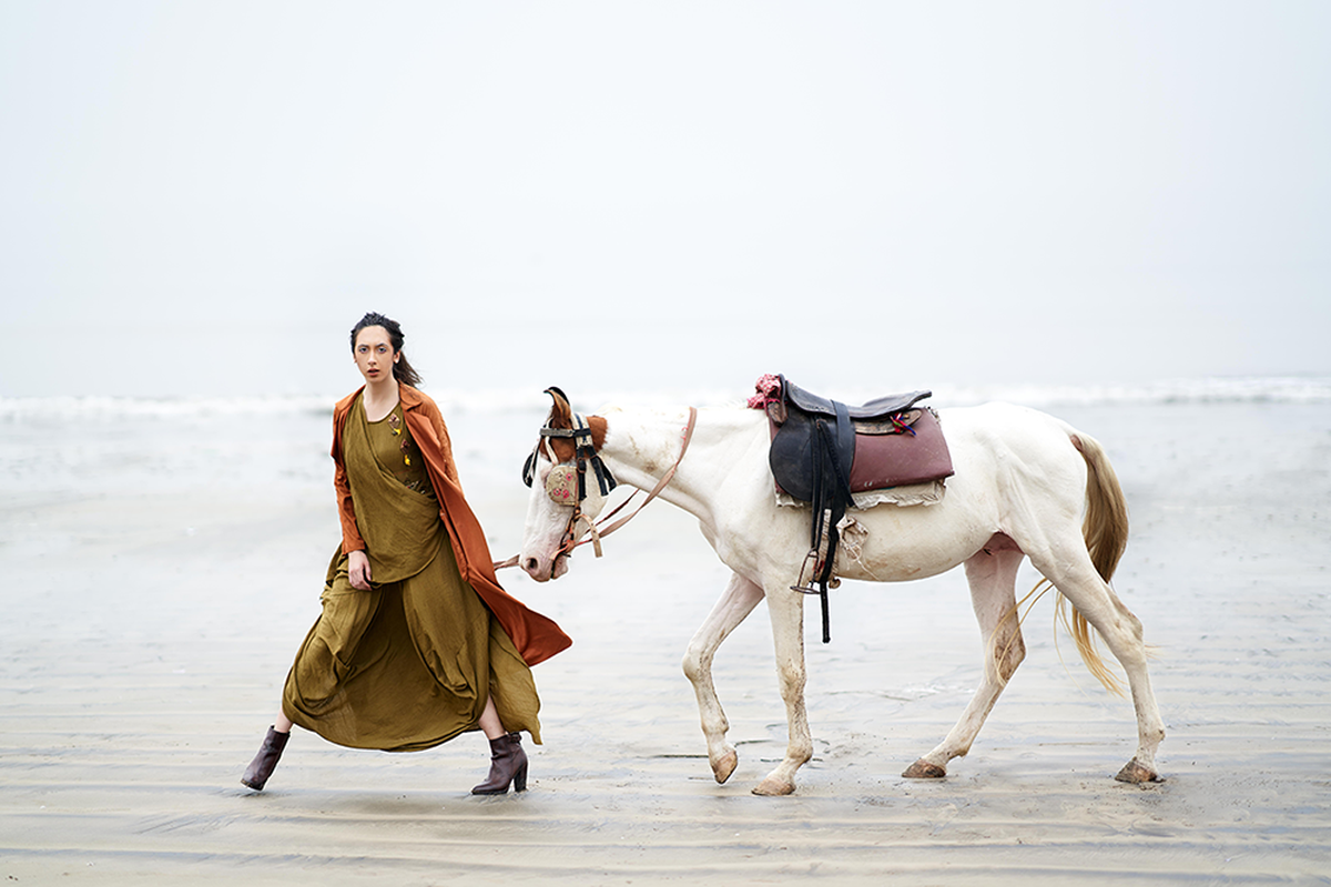 Image of Horse, Fun etc.