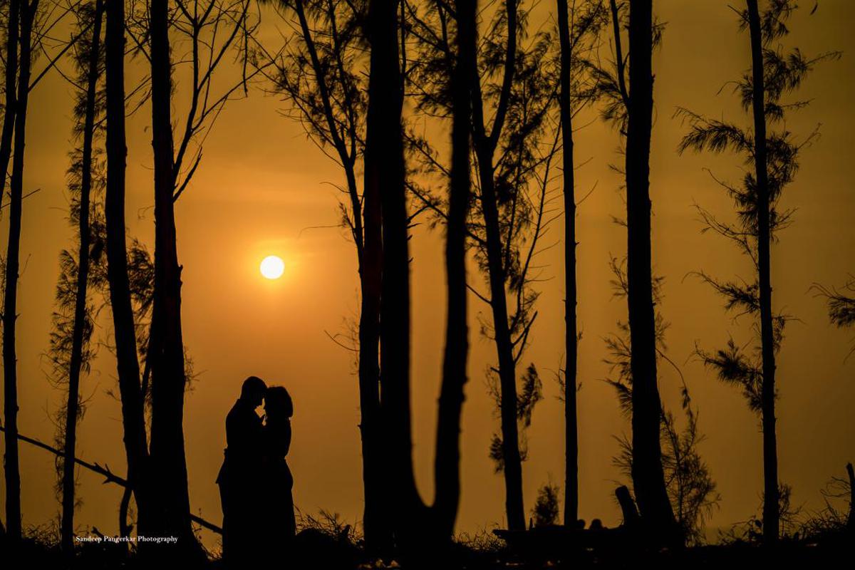 Image of People in nature, Nature, Tree, Sky, Natural landscape, Sunrise etc.