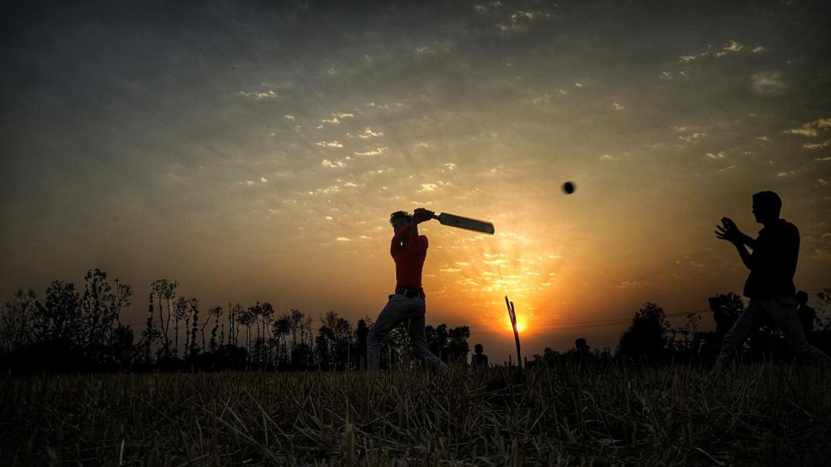 Image of People in nature, Sky, Backlighting, Photography, Grass family etc.