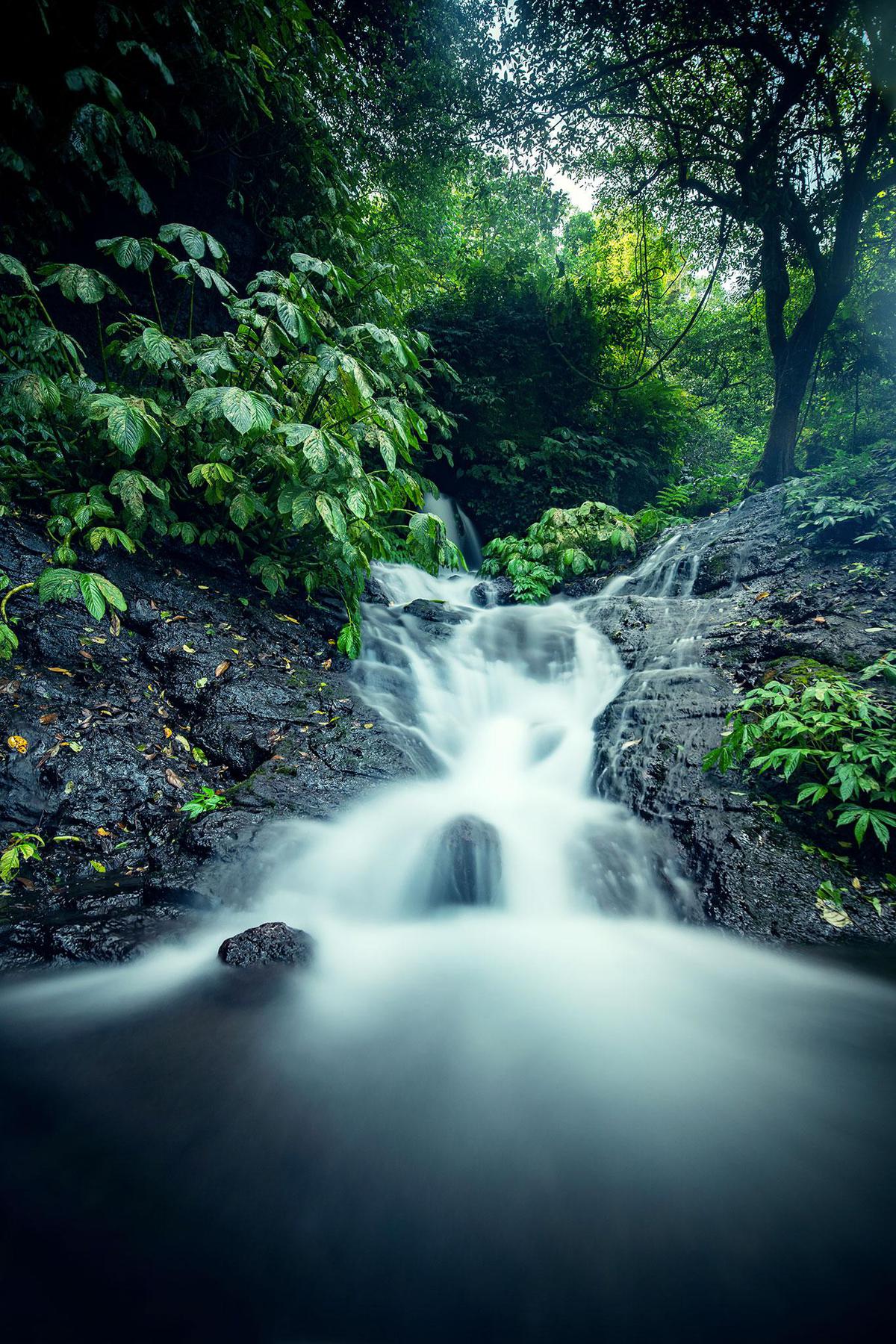 Image of Body of water, Water resources, Nature, Natural landscape, Waterfall, Water etc.