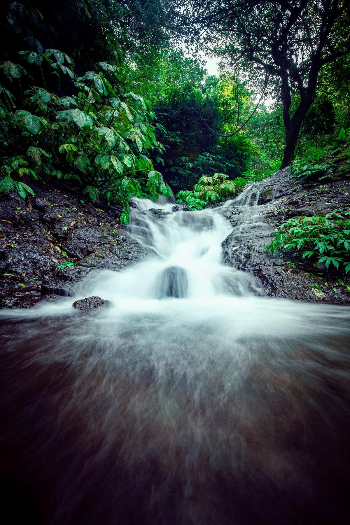 Image of Body of water, Water resources, Nature, Natural landscape, Water, Stream etc.