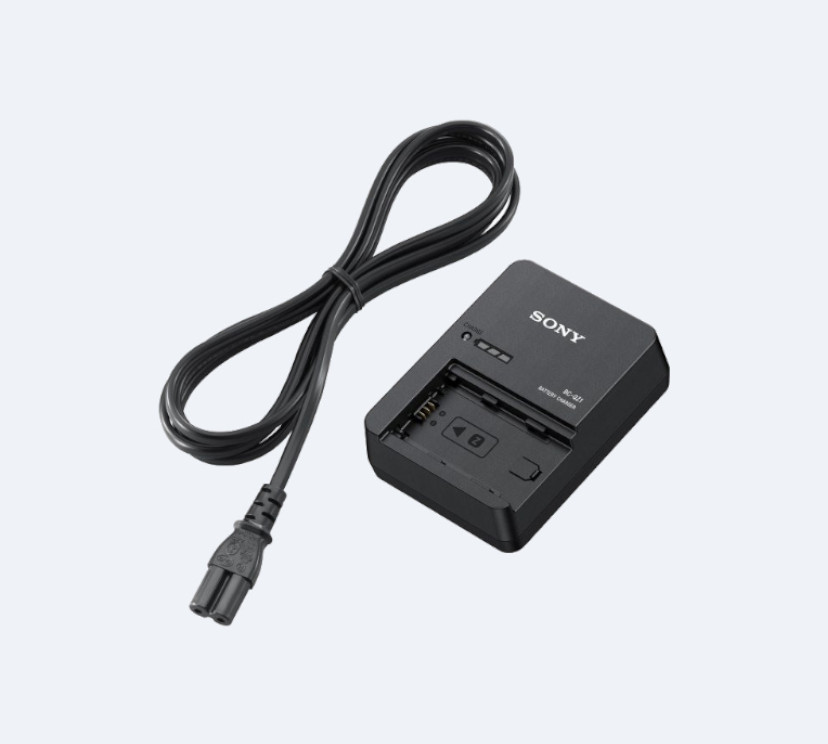 Battery charger (BC-QZ1)