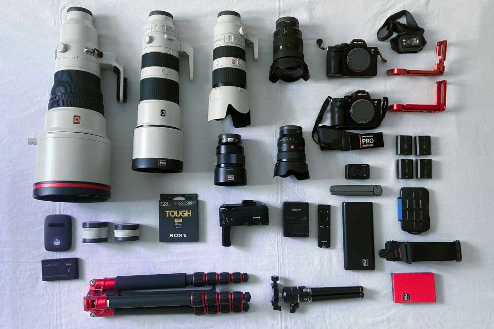 What’s in My Bag! What’s in My Bag!
