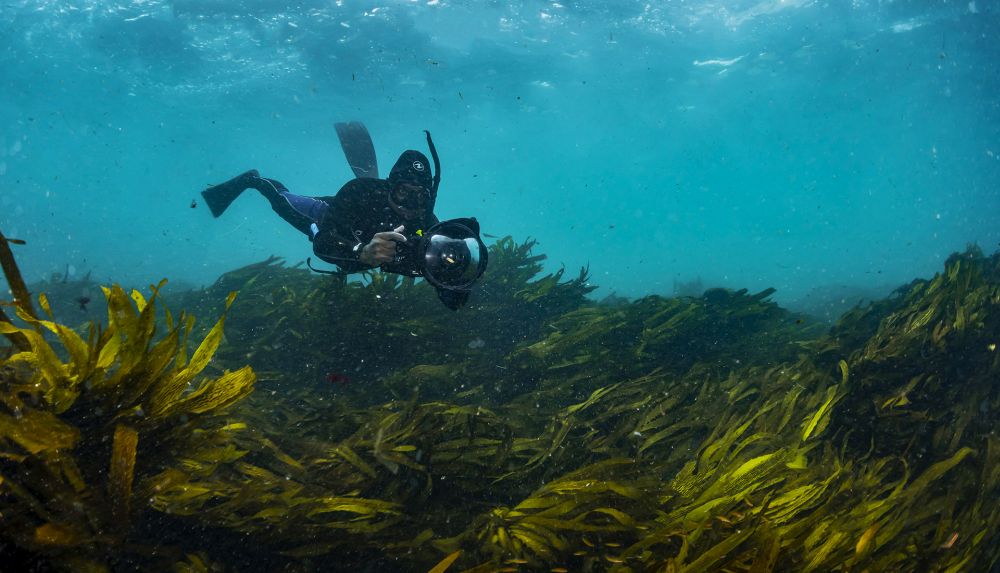 Underwater Photography: Behind the Camera Underwater Photography: Behind the Camera